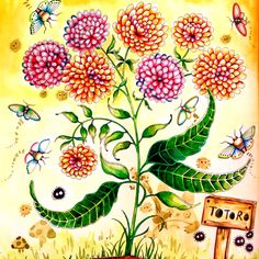 101 Secret Garden Coloring Book Sample Best HD 101 Secret Garden Coloring Book Sample Best HD