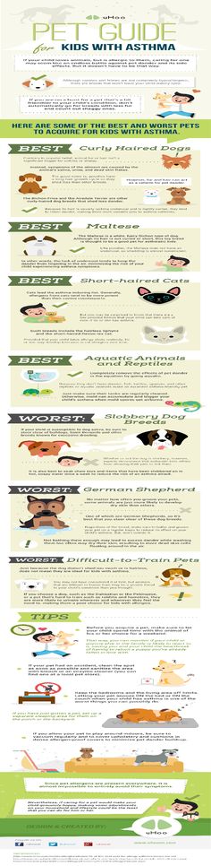 Sample Asthma Action Plan When Allergies Attack Asthma And