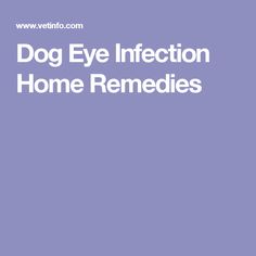 Home Remedies To Treat A Minor Eye Infection Home Remedies To Treat A Minor Eye Infection