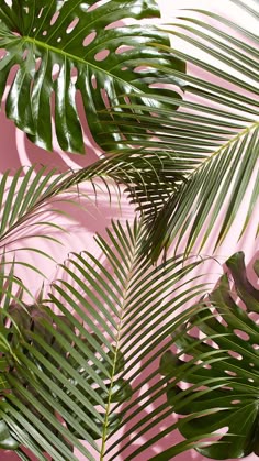 52 best iphone backgrounds
