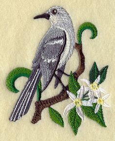Florida Mockingbird And Orange Blossom Medley