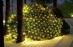 20+ Julgransbelysning Utomhus Led images | christmas lamp 20+ Julgransbelysning Utomhus Led images | christmas lamp