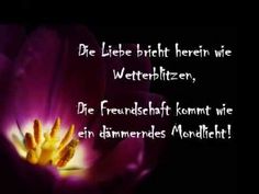 Schön dass ich dich kennenlernen durfte sprüche
