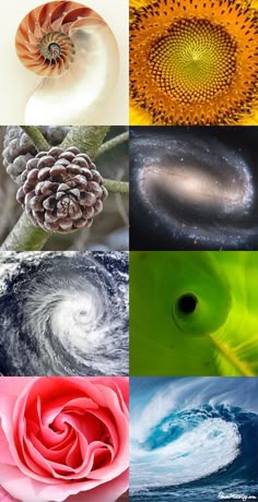 Finger fibonacci forex