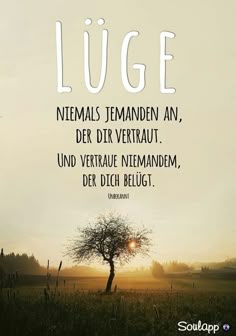 Meth für den kopf auf dating-apps