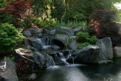 33 Best Kane Brothers Water Features Images On Pinterest Natural Swim Pools Adding Clarity And Beauty Into Your Backyard Traditional Pool Chicago Kane Brothers Water Features