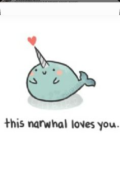 narwhal loves you