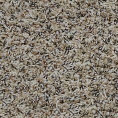 7 Best Dream Weaver Carpet United Flooring Of Greenville Tx Dream Weaver Carpet United Flooring