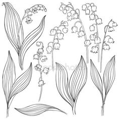 すずらん のアイデア 10 件 すずらん イラスト すずらん 花 イラスト