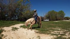95 best touchstone ranch