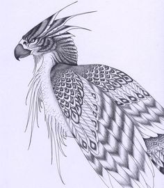 41 best my ziz images on pinterest mythological creatures fantasy