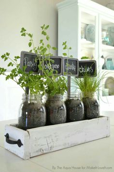 15 Fun And Easy Indoor Herb Garden Ideas Everything Diy Herb Garden Ideas