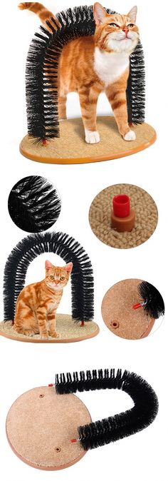 Guante De Mascota Gato Gatito Juego Rompecabezas Divertido Juguete Truco Juego Rasguño Actividad Mitt