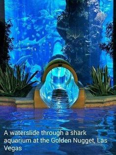 underwater water slide this is amazing