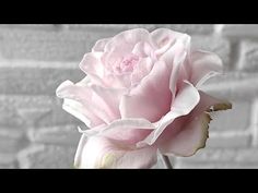 Login • Instagram Поделки - цветы из холодного фарфора
