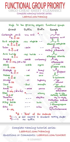 success is happiness essay effects