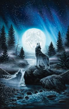 242 Best Wolf Wallpaper Images In 2019 Wolf Wallpaper Wolves