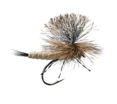 Dave/'s Hopper Foam Body #8 One Dozen Premium Big Y Fly Company Fishing Flies