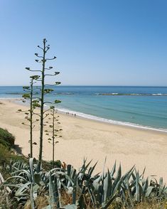 120 Ideas De Playas Beaches Costa Playa Cádiz