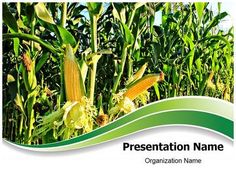 8 best farming ppt agriculture powerpoint templates images get powerpoint themes