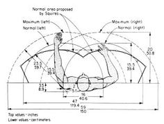Desk Dimensions desk dimensions for 2 people sitting alongside. click through for Desk Dimensions desk dimensions for 2 people sitting alongside. click through for