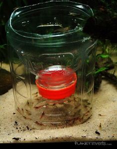 90 best aquarium images