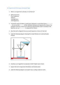 leader examples essay year 8