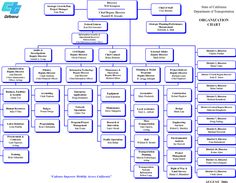 apple organizational structure