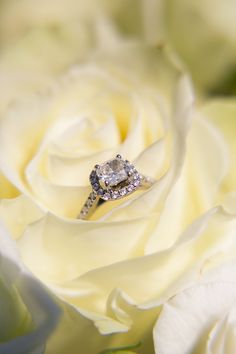 462 Best Perfect Engagement Rings Wedding Bands Images In 2020