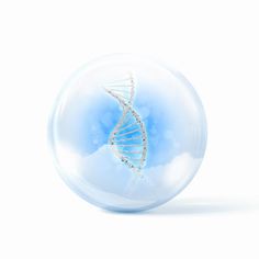 17 best tissue engineering images on pinterest tissue engineering