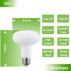 E26 Base 120V 75W Frost Type 900Lumen Studio Lighting Photography Light Bulb