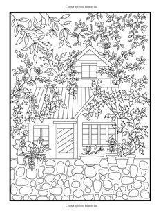 Amazon Hidden Garden An Adult Coloring Book With Secret Forest Animals