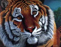 Juego De Pintura Cuadro Tigre Hermoso Ornamentación Juego De Pintura Cuadro Tigre Hermoso Ornamentación