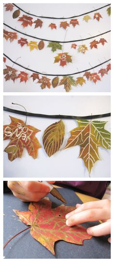ASSORTMENT OF 15 SPICY WILL ADD REAL PUNCH TO YOUR PROJECTS. SASSY FALL LEAVES