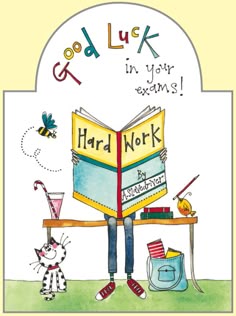 Brainbox Candy Good Luck /& Exams Greetings Cards funny humour trendy cool design