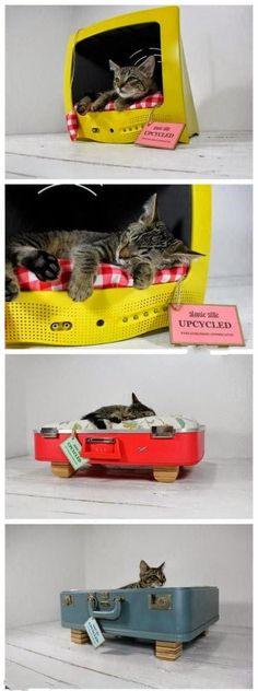 this cactus post gives your cat a stylish place to scratch camas e diversa o para pets pesquisa de mercado