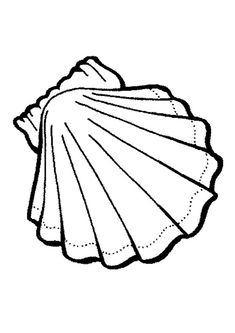 shell coloring page this shell coloring page is available for free in shell coloring pages you can print it out or color online do you like shell - Starfish Coloring Pages shell coloring page this shell coloring page is available for free in shell coloring pages you can print it out or color online do you like shell - Starfish Coloring Pages
