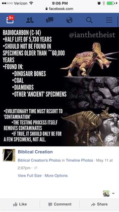 Oldest carbon dating dinosaur bones