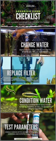 65 best fish tank