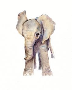 Dignovel Studios 8X10 Baby Elephant and Mom Elephant Watercolor Art Print Wall Art Poster Home Decor Wall Hanging Birthday Gift Motivational Inspirational N150 Dignovel Studios 8X10 Baby Elephant and Mom Elephant Watercolor Art Print Wall Art Poster Home Decor Wall Hanging Birthday Gift Motivational Inspirational N150