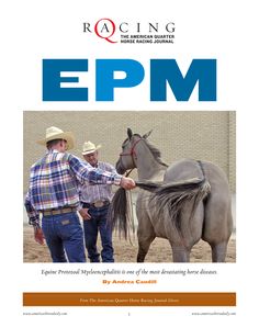 how to diagnose epm in horses mild epm in horses