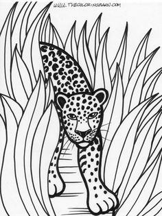 Rainforest Coloring Pages For Kids