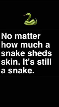 14 Best snake quotes images 14 Best snake quotes images