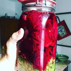 Tibicos zur Gewichtsverlust Vorbereitung von Gänseblümchen