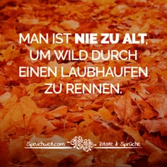 Alte bekanntschaften zitate