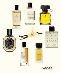 107 Best Perfume Images In 2019 Fragrance Perfume Bottle Perfume