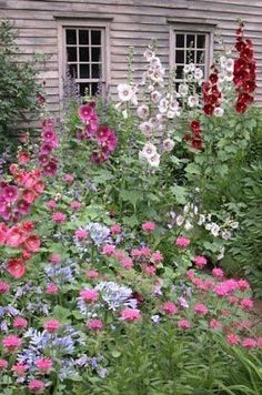 1391 best Cottage Gardens images on Pinterest | Backyard patio ... 1391 best Cottage Gardens images on Pinterest | Backyard patio ...