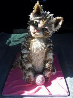 11 best cat cake