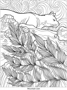Creative Haven Nature Vistas Coloring Book Welcome To Dover Publications
