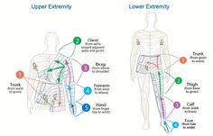Serpro hod manual lymphatic drainage